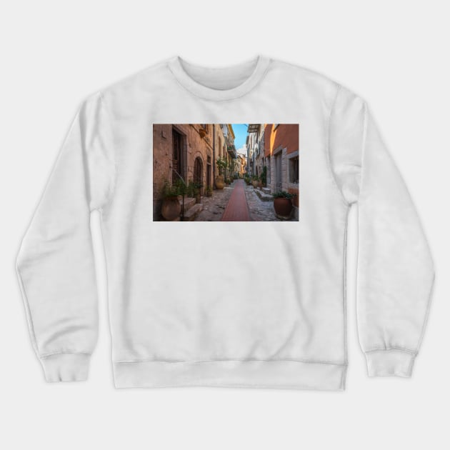 Provence Crewneck Sweatshirt by bkbuckley